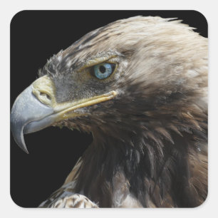 Eagle Square Sticker