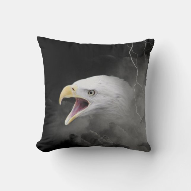 Eagle storm cushion (Front)