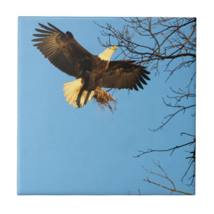 Eagle Sunset Wings Ceramic Tile