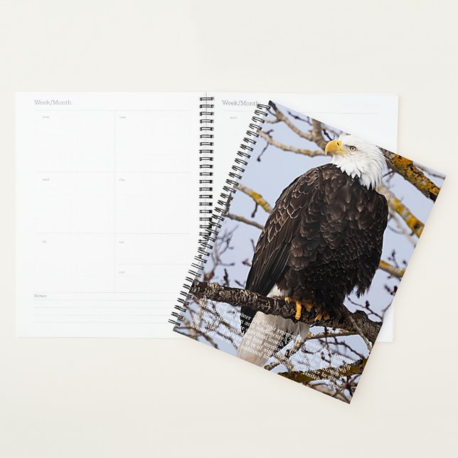 Eagle Symbolism Calendar Planner (Display)