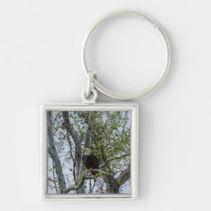 Eagle Watch Out Key Ring