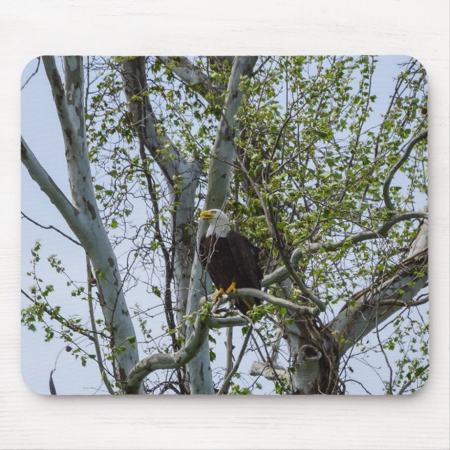 Eagle Watch Out Mouse Pad (Front)