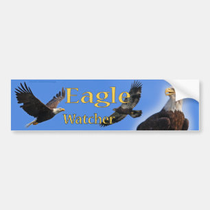 Eagle Watcher bumper sticker