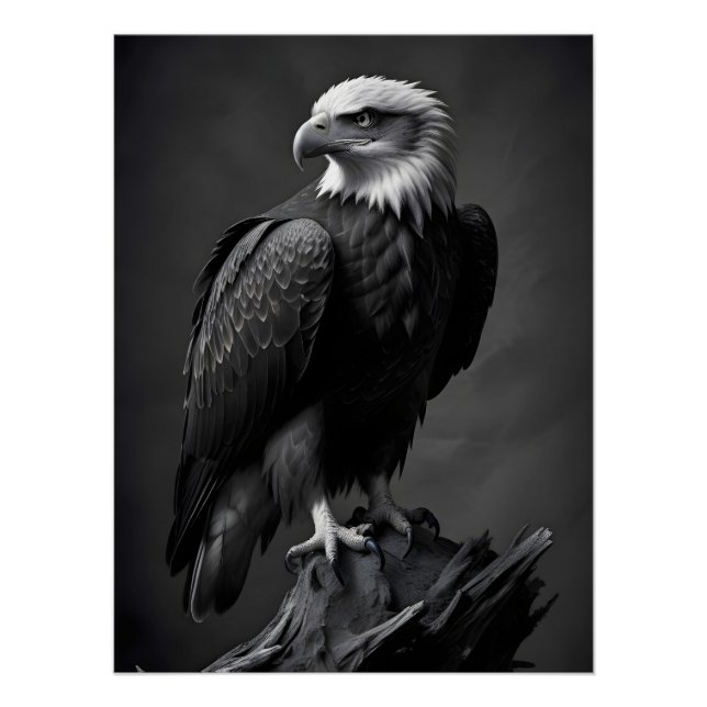 Eagle Wildlife Majestic Nature Life Wallpaper Poster (Front)