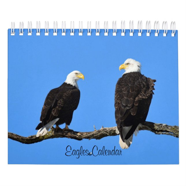Eagles 2 calendar (Cover)