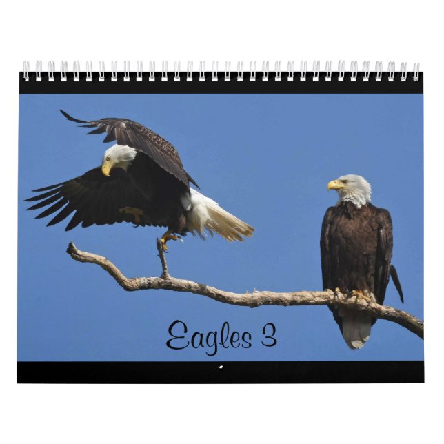 Eagles 3 calendar (Cover)