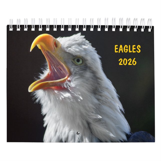 Eagles Calendar (Cover)