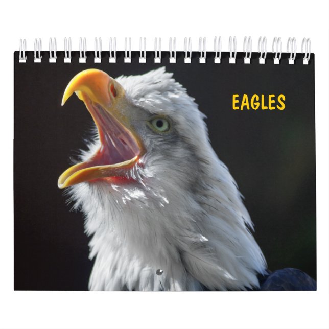 Eagles Calendar (Cover)