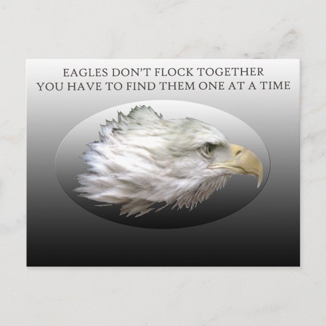 Eagles Don't Flock Together Postcard (Front)