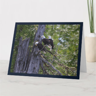 Eagles Hanging Out Folded Greeting Card