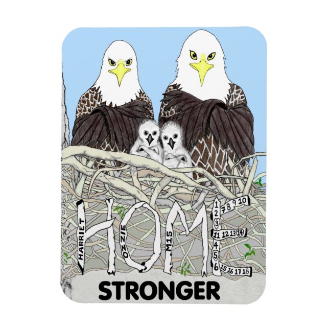 EAGLES HARRIET, M15, E17 + E18 BOOK- HOME STRONGER MAGNET (Vertical)