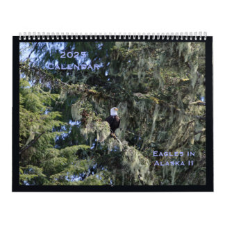 Eagles in Alaska II Calendar