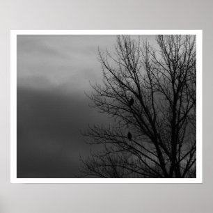 Eagles in Tree Poster