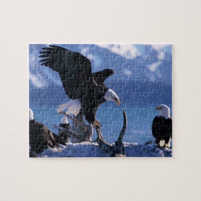Eagles Puzzle (Horizontal)