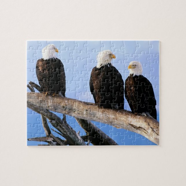 Eagles Puzzle (Horizontal)
