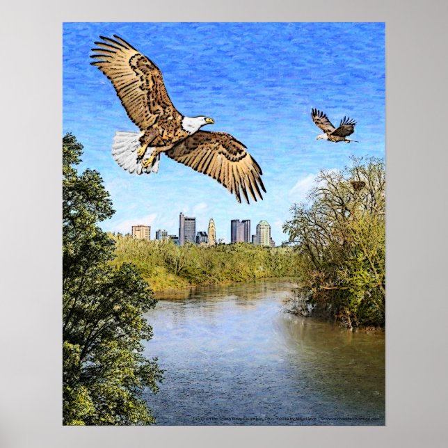 Eagles Scioto River Columbus Ohio Print (Front)