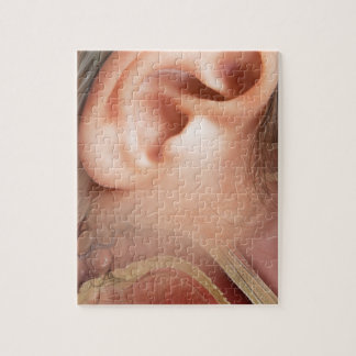 Ear anatomy jigsaw puzzle