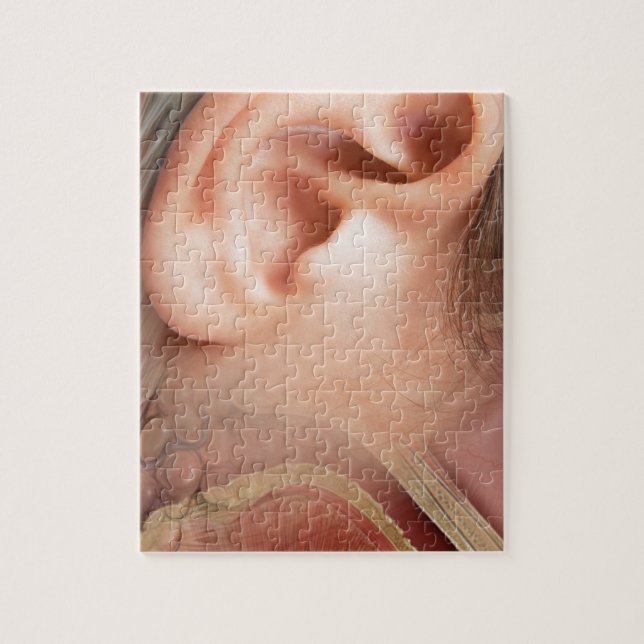 Ear anatomy jigsaw puzzle (Vertical)