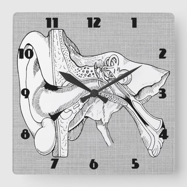 EAR ANATOMY VINTAGE CLOCK (Front)