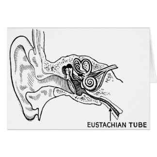 Ear diagram