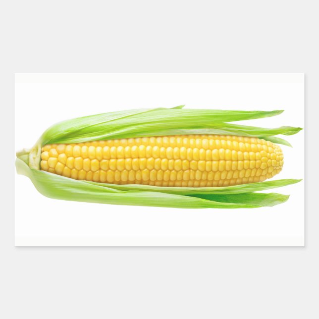 Ear of corn rectangular sticker (Front)