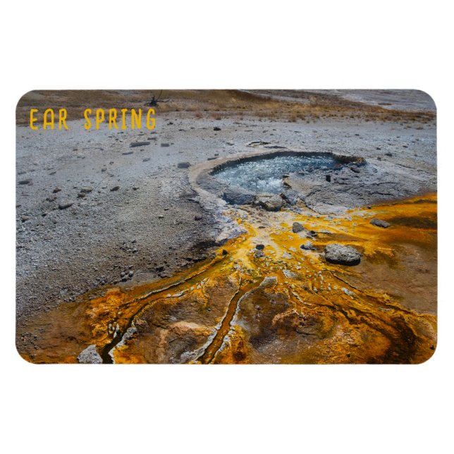 Ear Spring Yellowstone National Park Magnet (Horizontal)