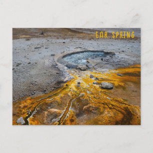 Ear Spring Yellowstone National Park Postcard