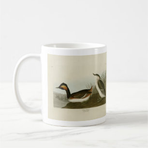 Eared Grebe (Black-necked grebe) - Audubon Coffee Mug