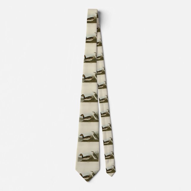 Eared Grebe (Black-necked grebe) - Audubon Tie (Front)