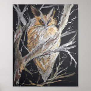 Eared-owl metalic watercolour poster