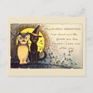 Early 1900s Friendly Cat and Owl Vintage Halloween Postcard