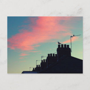 Early Birds Postcard