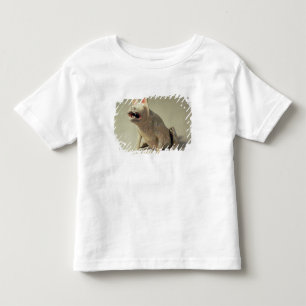 Early Chinese pottery seated dog, tomb Toddler T-Shirt