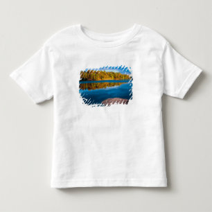 Early Evening reflections in the boundry waters Toddler T-Shirt