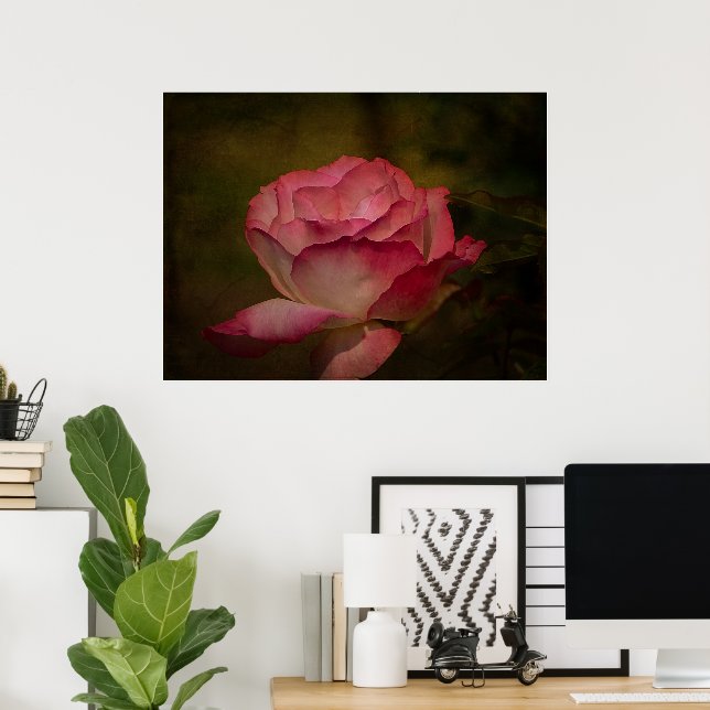 Early Evening Rose Poster (Home Office)