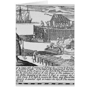 Early Fishing Stages