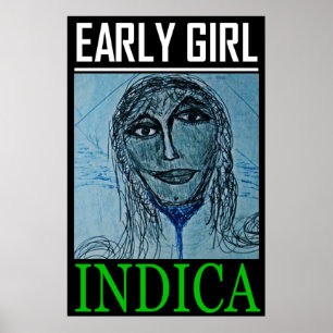 EARLY GIRL INDICA POSTER