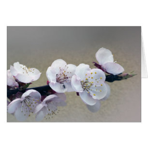 early in the morning