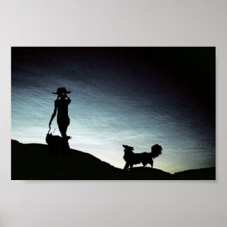 Early morning herd...Border Collie Poster