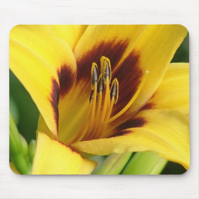 Early Morning Mouse Pad (Front)