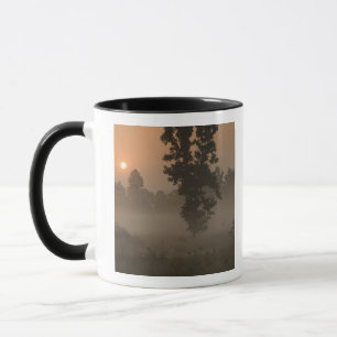Early morning, rising sun and ground fog mug