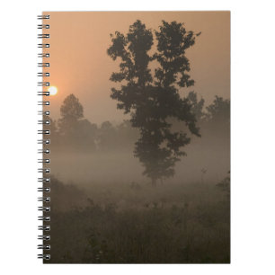 Early morning, rising sun and ground fog notebook