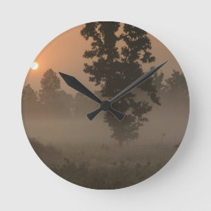 Early morning, rising sun and ground fog round clock