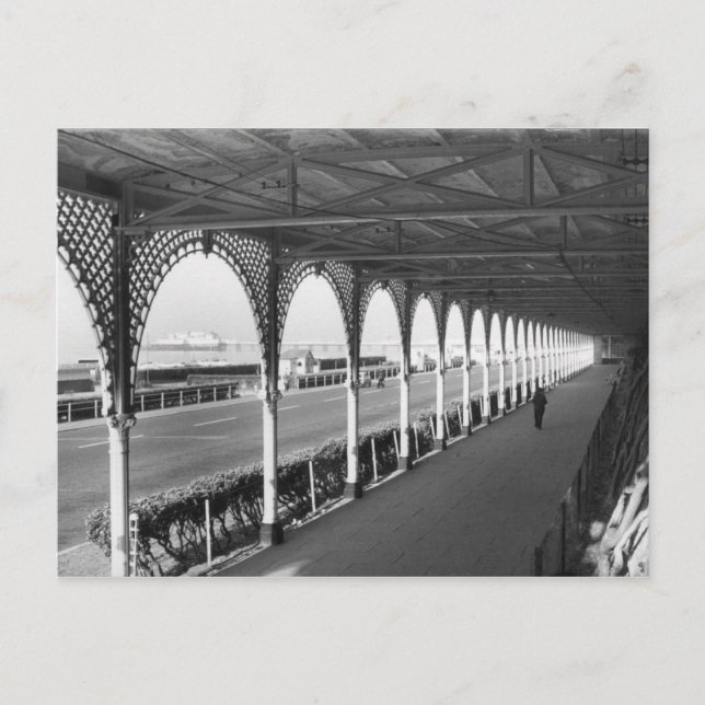 Early Morning Stroll Postcard (Front)