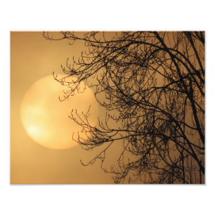 Early Morning Sun Photo Print