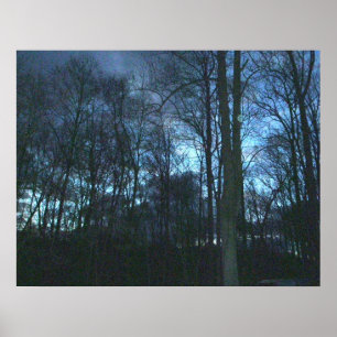 Early Morning Woods Poster