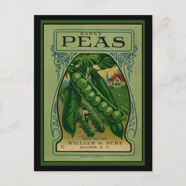 Early Peas Vintage Seed Packet Postcard (Front)