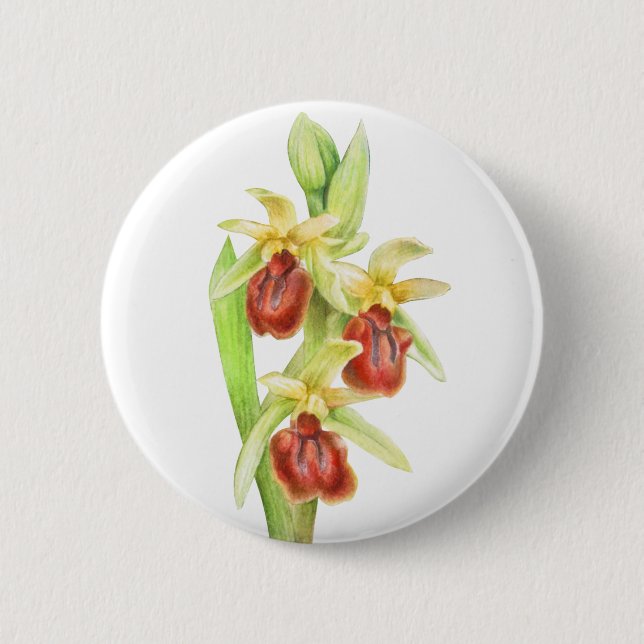 Early spider orchid watercolor art button badge (Front)