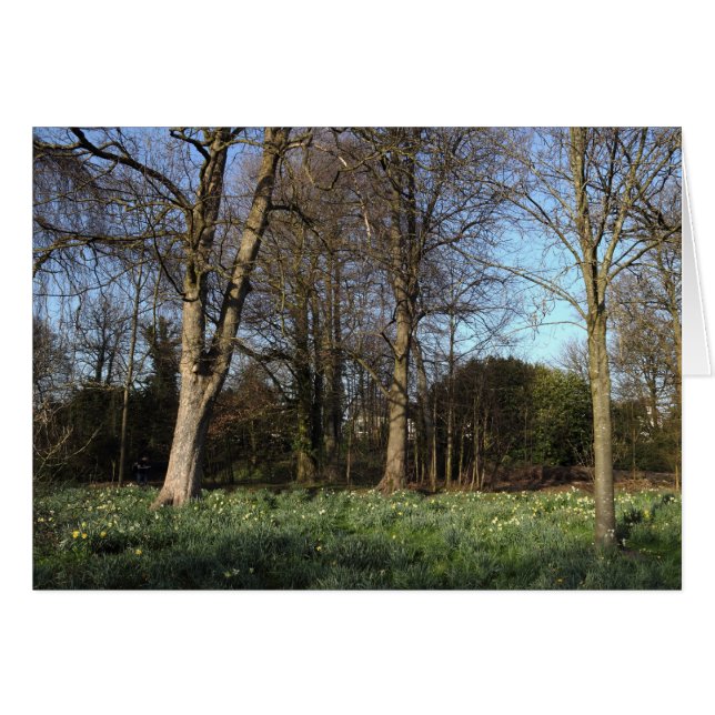 Early Spring at, Bute Park, Cardiff (Front Horizontal)