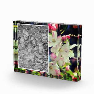 Early Spring Blossoms Create Your Own Photo Block